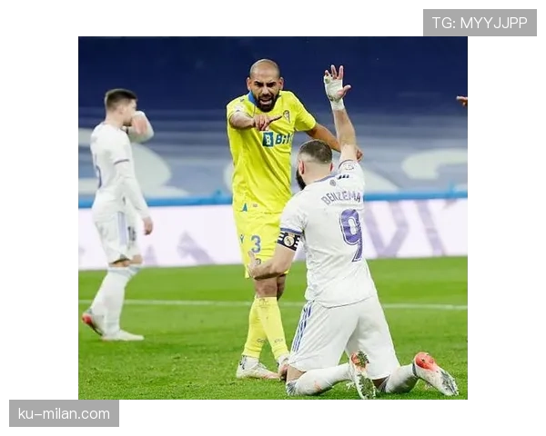 本泽马vs本阿尔法：终结效率与战术角色差异解析